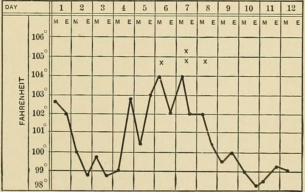 An illustration from The diseases of infancy and childhood : for the use of students and practitioners of medicine / by L. Emmett Holt with two hundred and forty-one illustrations, including eight coloured plates., 1908, leaf 1031