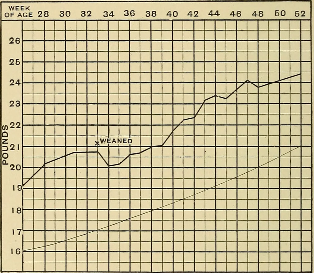 An illustration from The diseases of infancy and childhood : for the use of students and practitioners of medicine / by L. Emmett Holt with two hundred and forty-one illustrations, including eight coloured plates., 1908, leaf 206