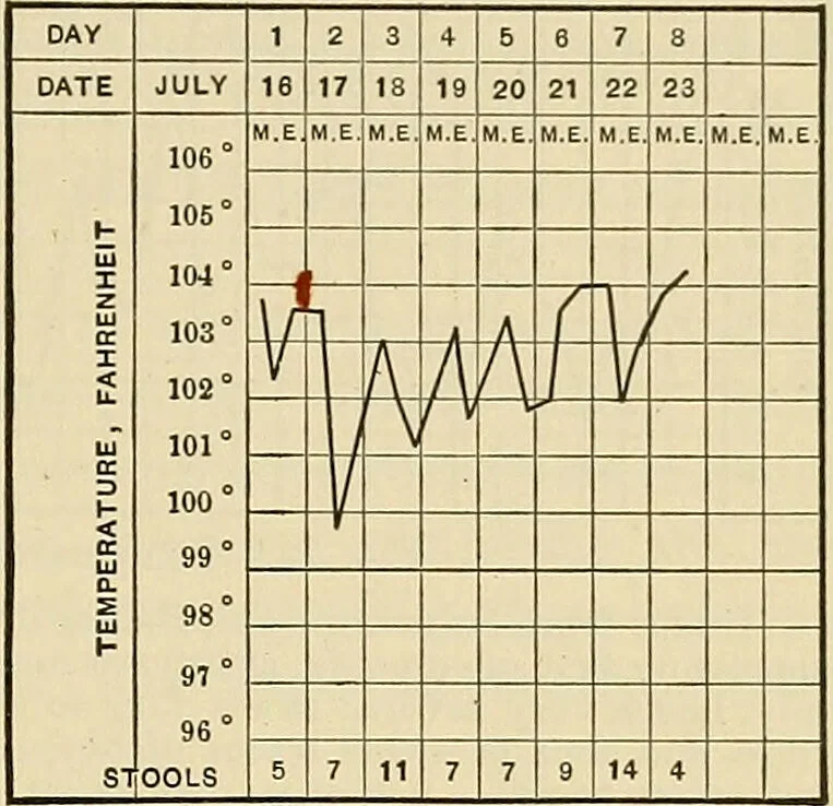 An illustration from The diseases of infancy and childhood : for the use of students and practitioners of medicine / by L. Emmett Holt with two hundred and forty-one illustrations, including eight coloured plates., 1908, leaf 437