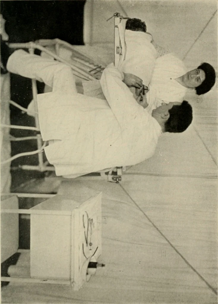 An illustration from Meningococcus meningitis / by Henry Heiman ... and Samuel Feldstein ... with introduction by Henry Koplik ... with 4 plates, 31 figures, 2 in color, and 4 charts., 1913, leaf 199