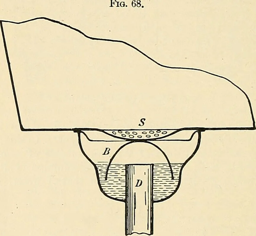 An illustration from A manual of practical hygiene for students, physicians, and health officers / By Charles Harrington., 1914, leaf 576