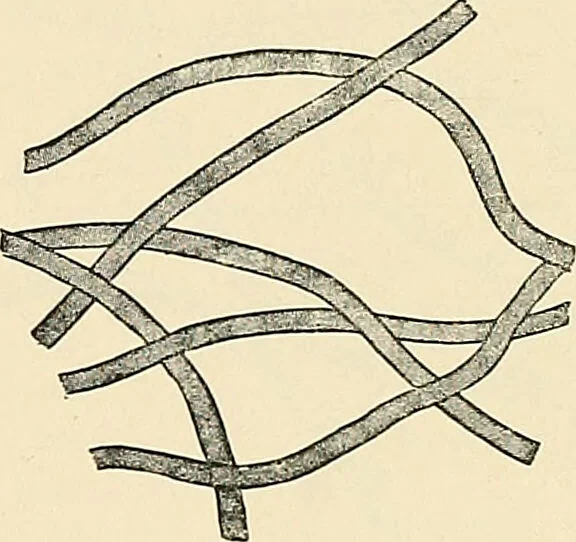 An illustration from A manual of practical hygiene for students, physicians, and health officers / By Charles Harrington., 1914, leaf 670