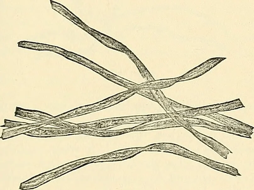 An illustration from A manual of practical hygiene for students, physicians, and health officers / By Charles Harrington., 1914, leaf 671