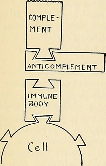 An illustration from A manual of practical hygiene for students, physicians, and health officers / By Charles Harrington., 1914, leaf 844