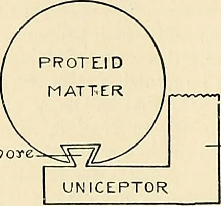 An illustration from A manual of practical hygiene for students, physicians, and health officers / By Charles Harrington., 1914, leaf 848