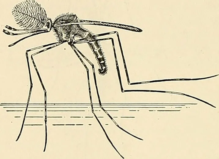 An illustration from A manual of practical hygiene for students, physicians, and health officers / By Charles Harrington., 1914, leaf 874