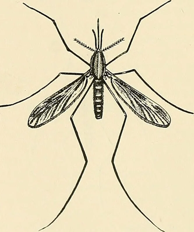 An illustration from A manual of practical hygiene for students, physicians, and health officers / By Charles Harrington., 1914, leaf 874