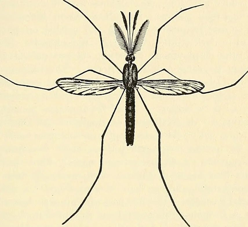 An illustration from A manual of practical hygiene for students, physicians, and health officers / By Charles Harrington., 1914, leaf 875