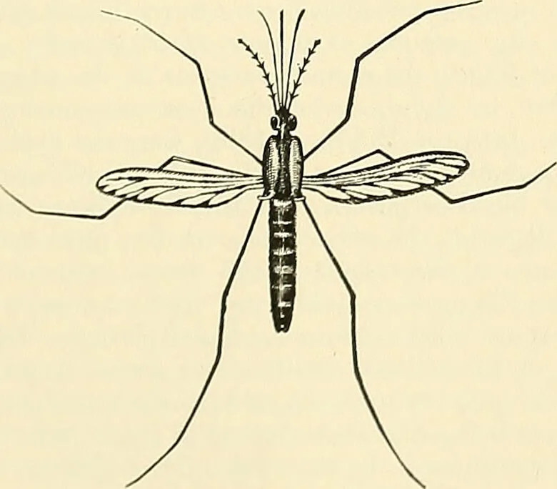 An illustration from A manual of practical hygiene for students, physicians, and health officers / By Charles Harrington., 1914, leaf 875