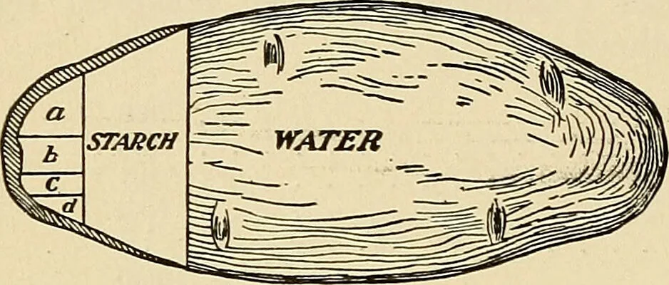 An illustration from A manual of practical hygiene for students, physicians, and medical officers / by Charles Harrington., 1905, leaf 182