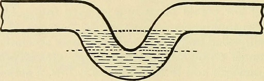 An illustration from A manual of practical hygiene for students, physicians, and medical officers / by Charles Harrington., 1905, leaf 486
