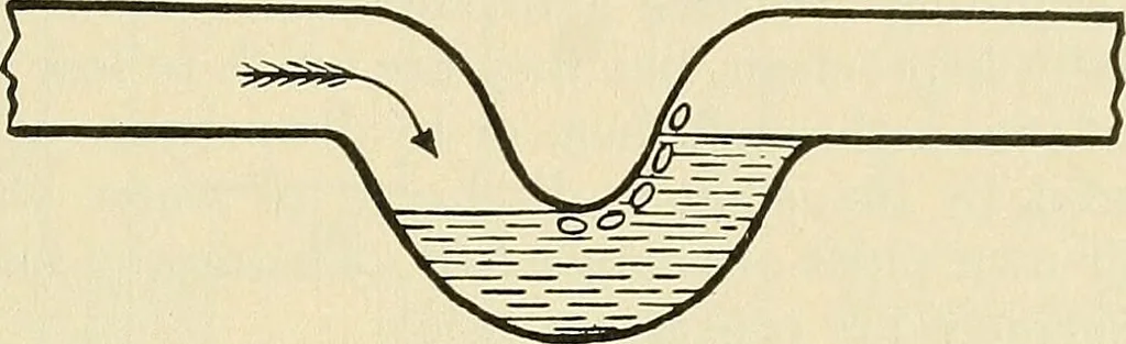 An illustration from A manual of practical hygiene for students, physicians, and medical officers / by Charles Harrington., 1905, leaf 487