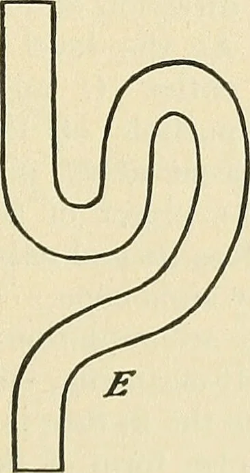 An illustration from A manual of practical hygiene for students, physicians, and medical officers / by Charles Harrington., 1905, leaf 487