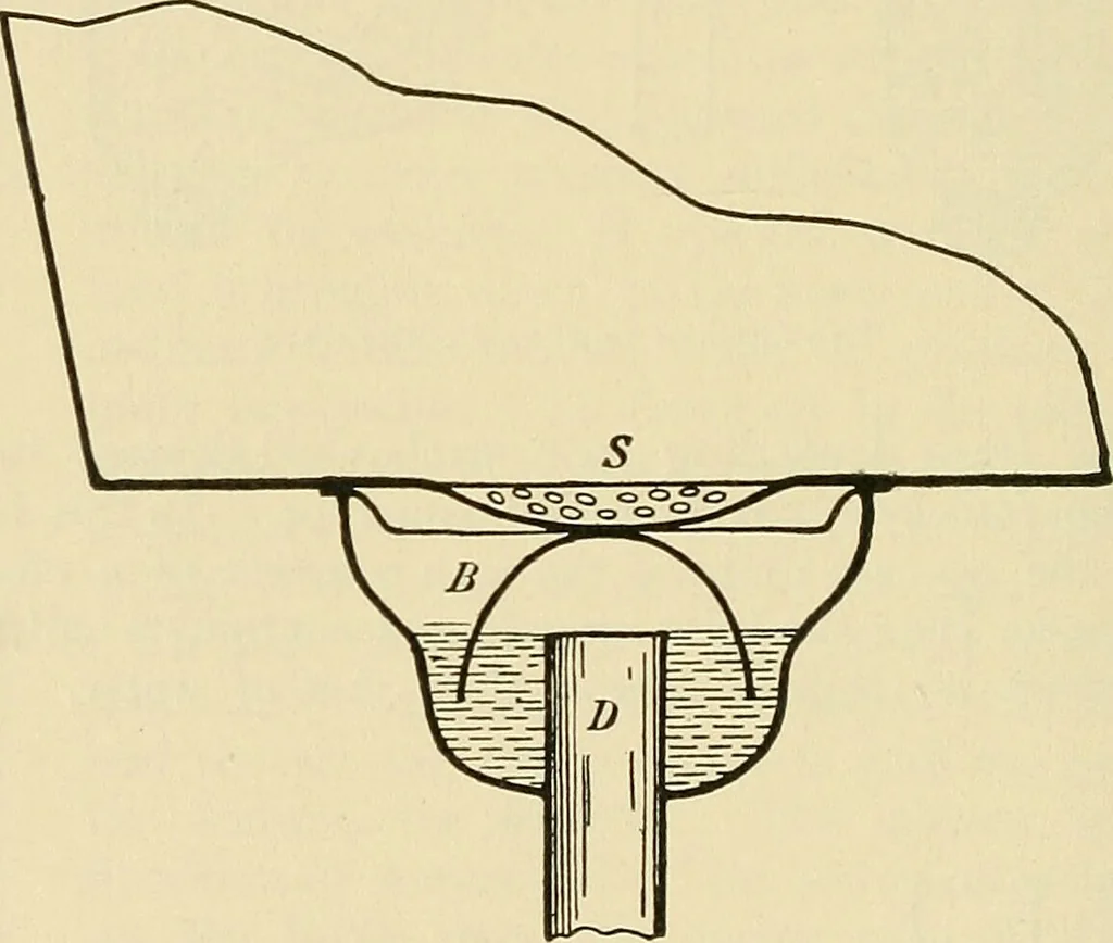 An illustration from A manual of practical hygiene for students, physicians, and medical officers / by Charles Harrington., 1905, leaf 490