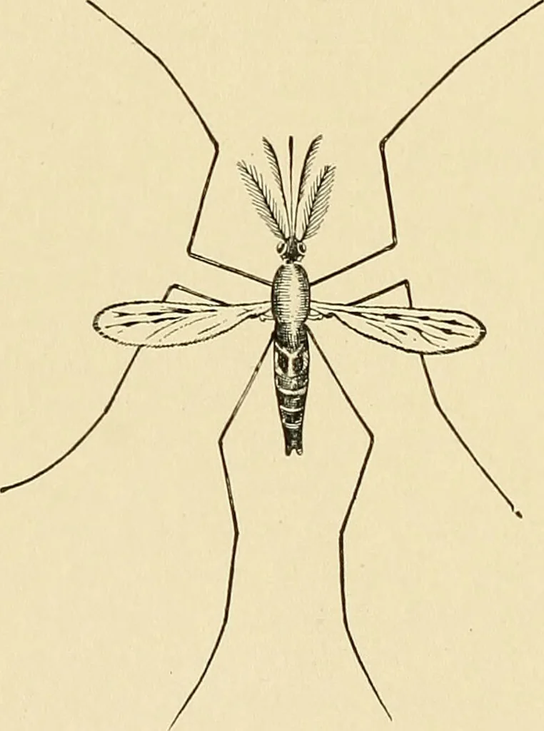 An illustration from A manual of practical hygiene for students, physicians, and medical officers / by Charles Harrington., 1905, leaf 668