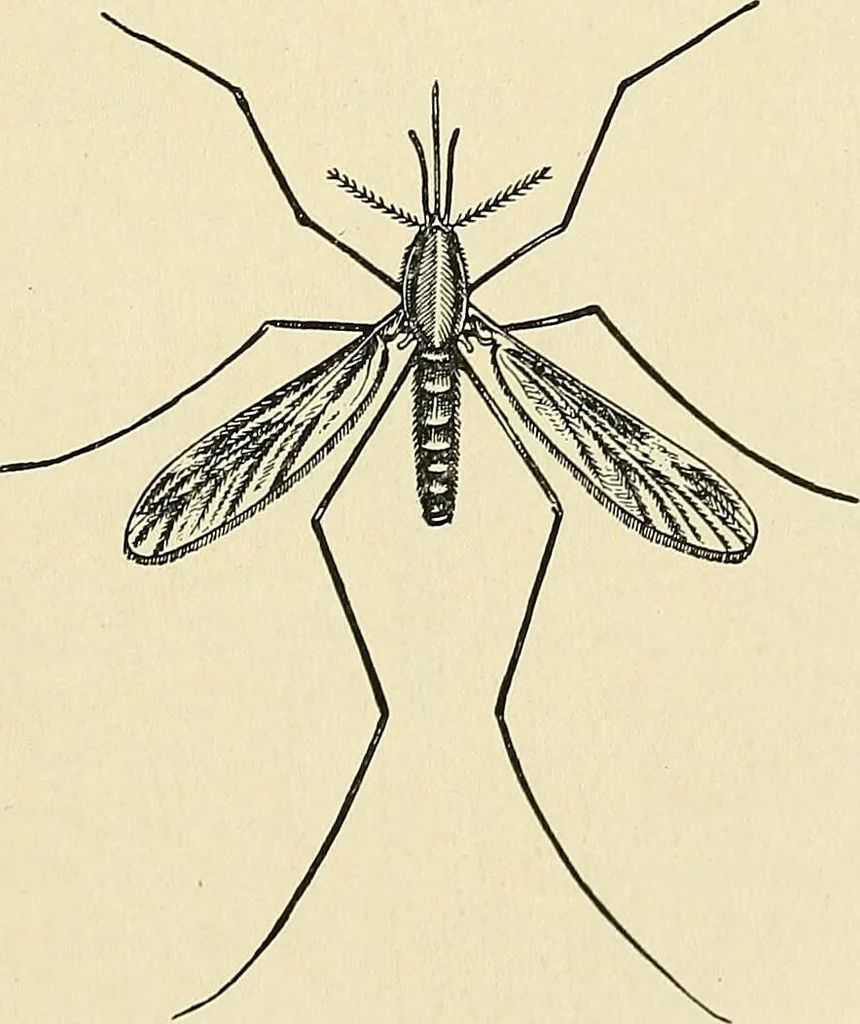 An illustration from A manual of practical hygiene for students, physicians, and medical officers / by Charles Harrington., 1905, leaf 669