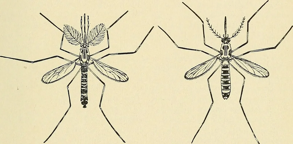 An illustration from A manual of practical hygiene for students, physicians, and medical officers / by Charles Harrington., 1905, leaf 681