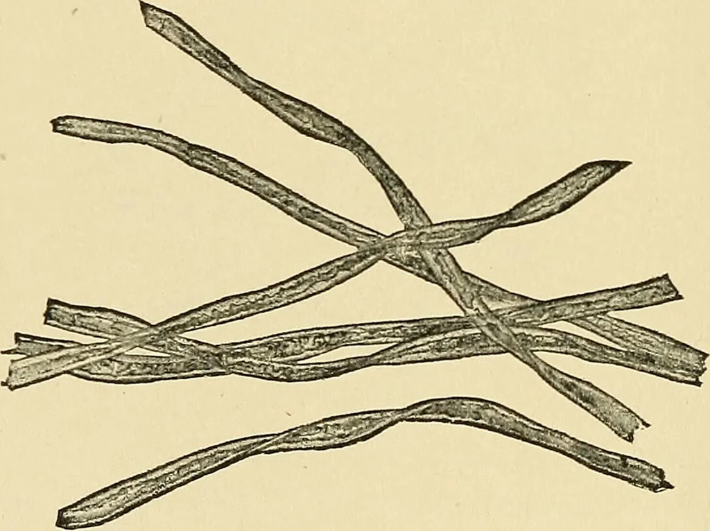 An illustration from A manual of practical hygiene for students, physicians, and medical officers / by Charles Harrington., 1905, leaf 744