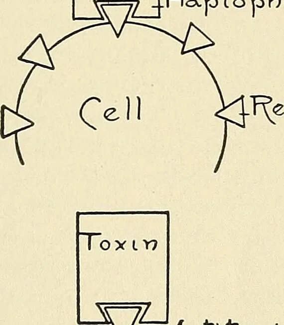 An illustration from A manual of practical hygiene for students, physicians, and medical officers / by Charles Harrington., 1905, leaf 755