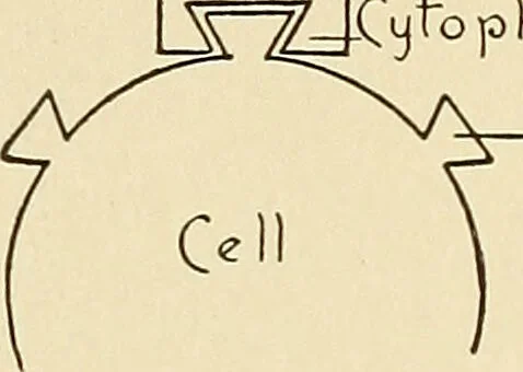 An illustration from A manual of practical hygiene for students, physicians, and medical officers / by Charles Harrington., 1905, leaf 762