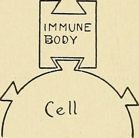 An illustration from A manual of practical hygiene for students, physicians, and medical officers / by Charles Harrington., 1905, leaf 765