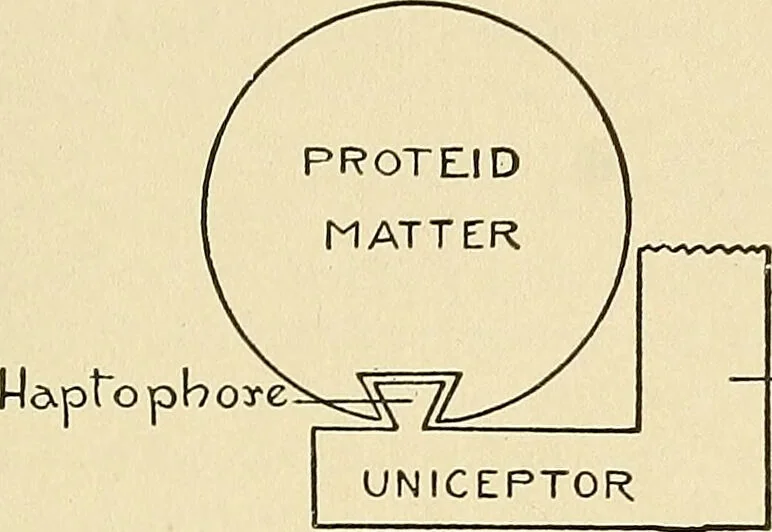 An illustration from A manual of practical hygiene for students, physicians, and medical officers / by Charles Harrington., 1905, leaf 769