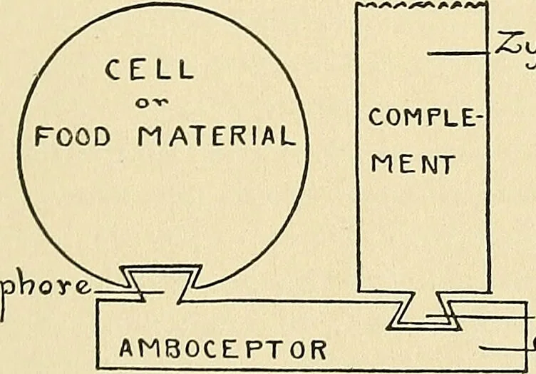 An illustration from A manual of practical hygiene for students, physicians, and medical officers / by Charles Harrington., 1905, leaf 769