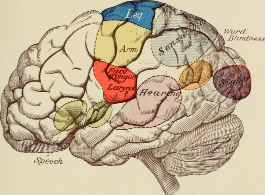 An illustration from Practical diagnosis: the use of symptoms in the diagnosis of disease / By Hobart Amory Hare ... Illustrated with 191 engravings and 13 colored plates., 1896, leaf 115