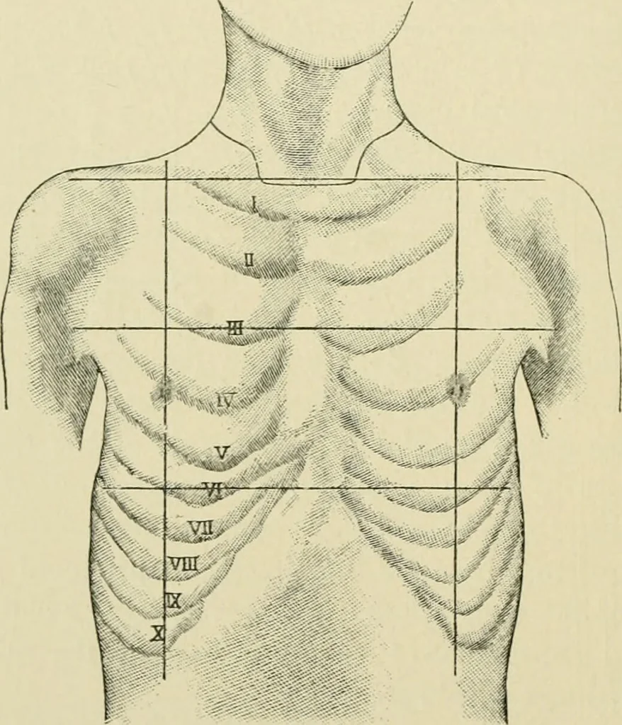 An illustration from Practical diagnosis: the use of symptoms in the diagnosis of disease / By Hobart Amory Hare ... Illustrated with 191 engravings and 13 colored plates., 1896, leaf 264