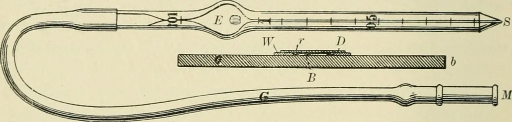 An illustration from Practical diagnosis: the use of symptoms in the diagnosis of disease / By Hobart Amory Hare ... Illustrated with 191 engravings and 13 colored plates., 1896, leaf 352