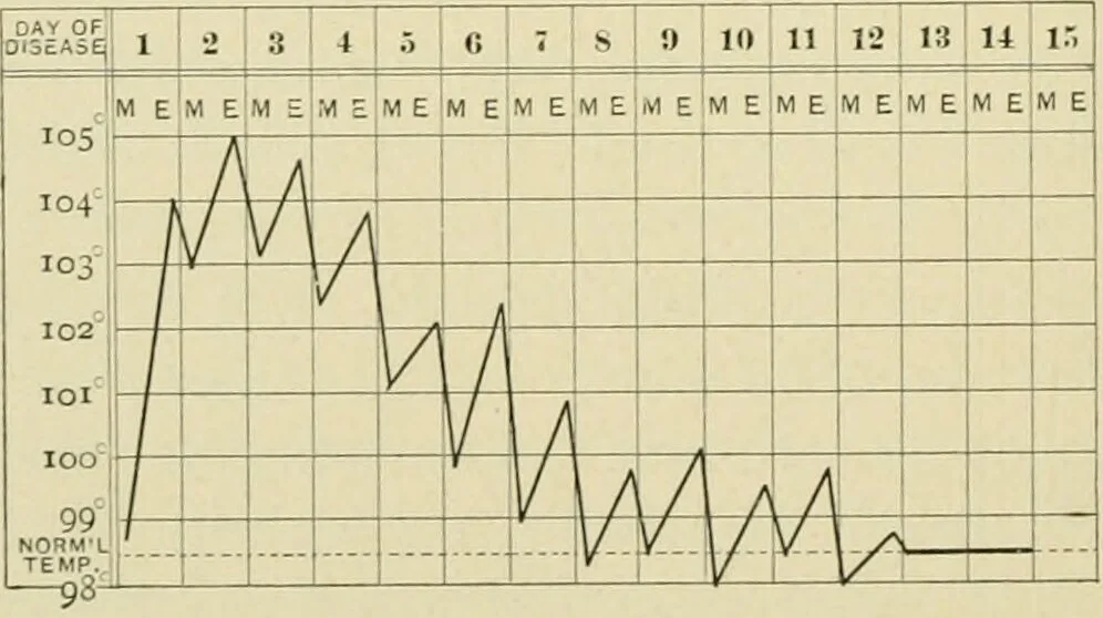 An illustration from Practical diagnosis: the use of symptoms in the diagnosis of disease / By Hobart Amory Hare ... Illustrated with 191 engravings and 13 colored plates., 1896, leaf 440