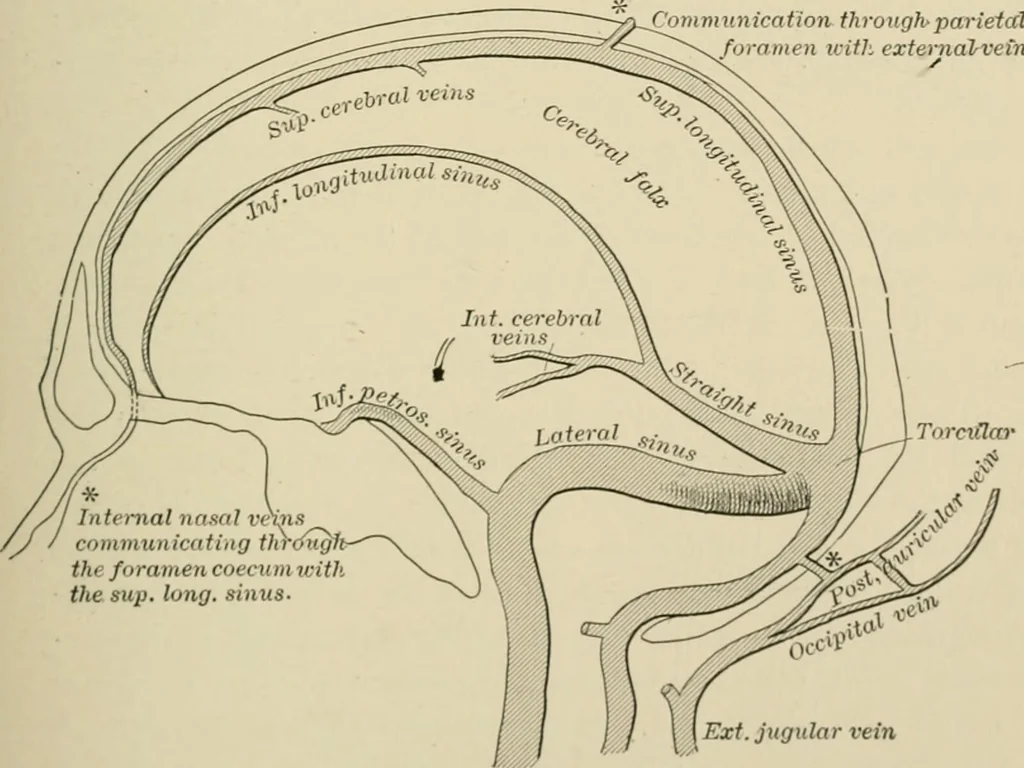 An illustration from Practical diagnosis: the use of symptoms in the diagnosis of disease / By Hobart Amory Hare ... Illustrated with 191 engravings and 13 colored plates., 1896, leaf 463
