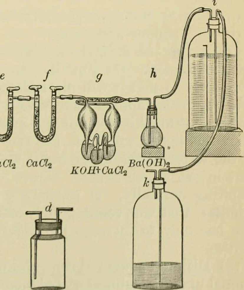 An illustration from A manual of experimental physiology for students of medicine / By Winfield S. Hall ... With 89 illustrations and a colored plate., 1904, leaf 117