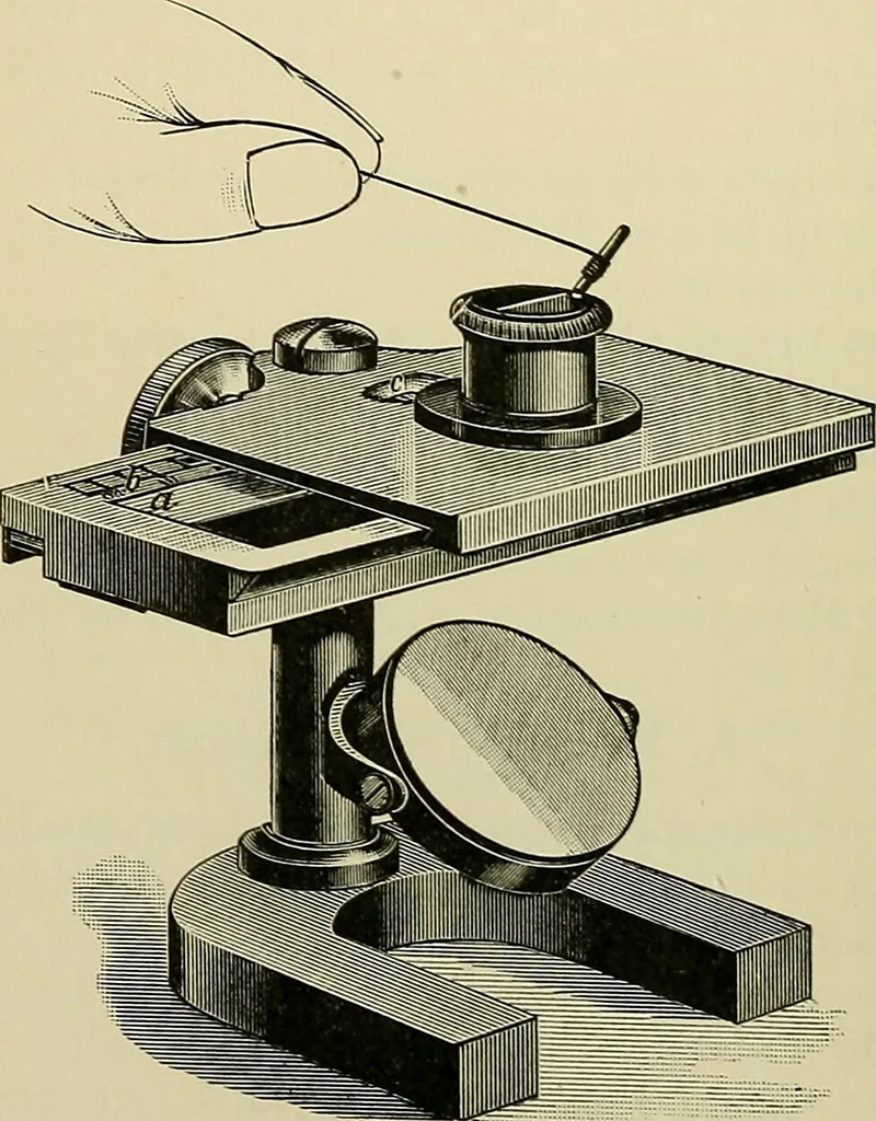 An illustration from A manual of experimental physiology for students of medicine / By Winfield S. Hall ... With 89 illustrations and a colored plate., 1904, leaf 140