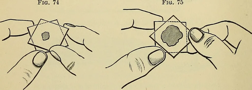 An illustration from A manual of experimental physiology for students of medicine / By Winfield S. Hall ... With 89 illustrations and a colored plate., 1904, leaf 152