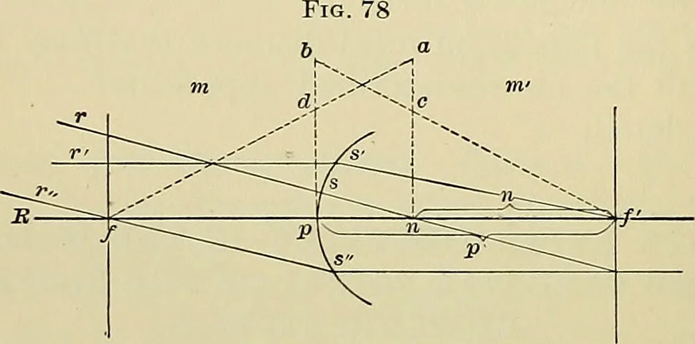 An illustration from A manual of experimental physiology for students of medicine / By Winfield S. Hall ... With 89 illustrations and a colored plate., 1904, leaf 190