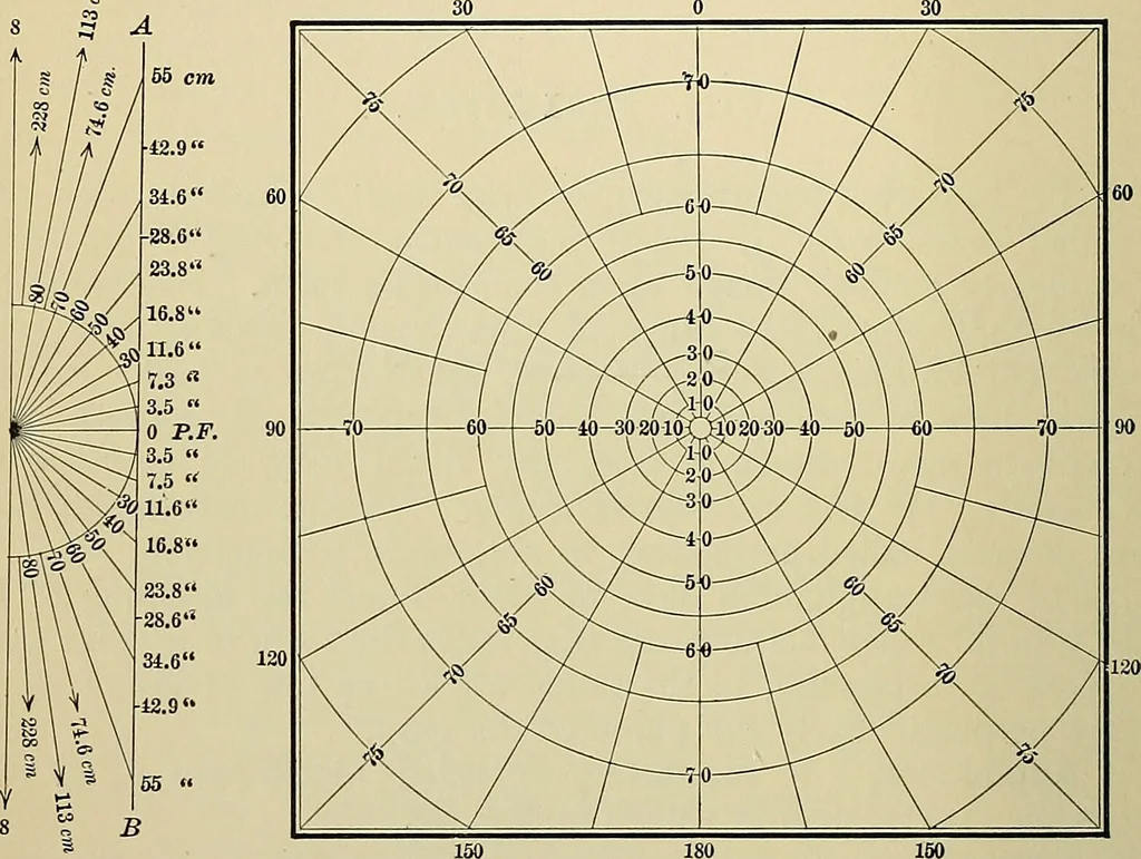 An illustration from A manual of experimental physiology for students of medicine / By Winfield S. Hall ... With 89 illustrations and a colored plate., 1904, leaf 198