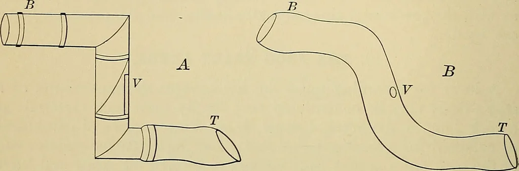 An illustration from A manual of experimental physiology for students of medicine / By Winfield S. Hall ... With 89 illustrations and a colored plate., 1904, leaf 238