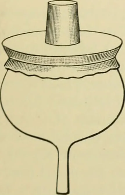 An illustration from A manual of experimental physiology for students of medicine / By Winfield S. Hall ... With 89 illustrations and a colored plate., 1904, leaf 239
