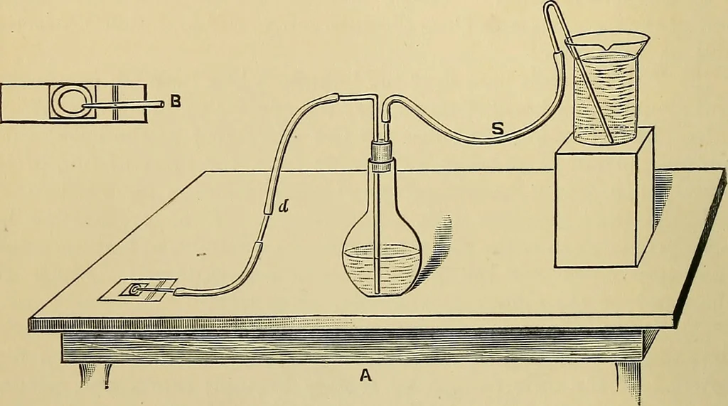 An illustration from A manual of experimental physiology for students of medicine / By Winfield S. Hall ... With 89 illustrations and a colored plate., 1904, leaf 34