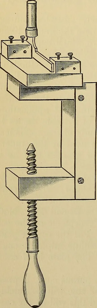 An illustration from A manual of experimental physiology for students of medicine / By Winfield S. Hall ... With 89 illustrations and a colored plate., 1904, leaf 38