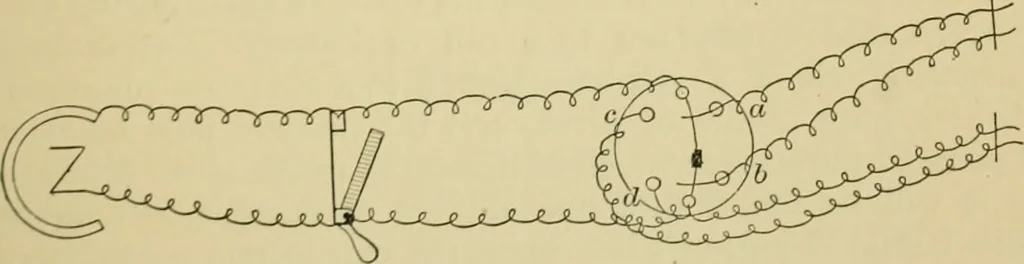 An illustration from A manual of experimental physiology for students of medicine / By Winfield S. Hall ... With 89 illustrations and a colored plate., 1904, leaf 39