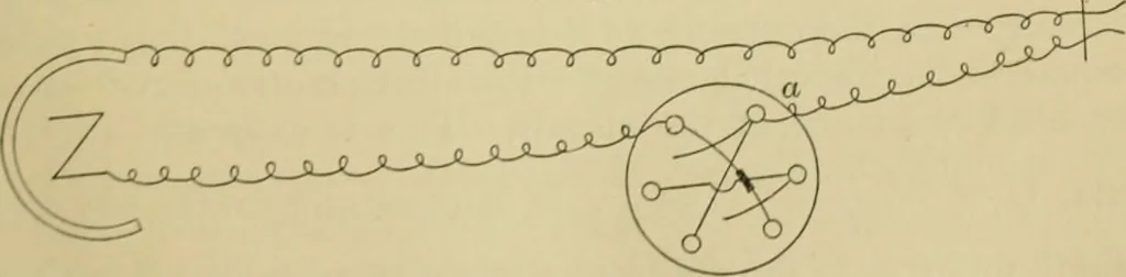 An illustration from A manual of experimental physiology for students of medicine / By Winfield S. Hall ... With 89 illustrations and a colored plate., 1904, leaf 39