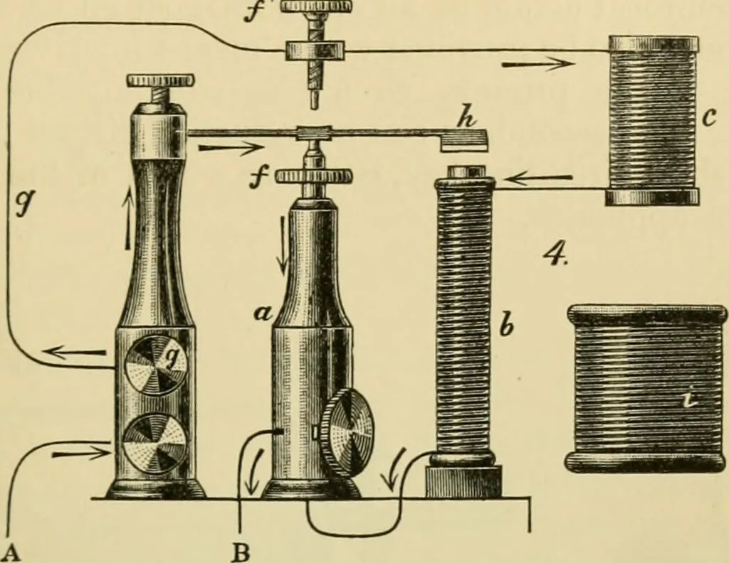 An illustration from A manual of experimental physiology for students of medicine / By Winfield S. Hall ... With 89 illustrations and a colored plate., 1904, leaf 51