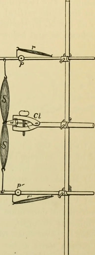 An illustration from A manual of experimental physiology for students of medicine / By Winfield S. Hall ... With 89 illustrations and a colored plate., 1904, leaf 59