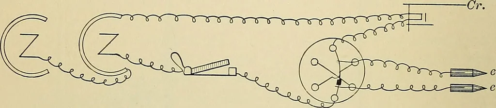 An illustration from A manual of experimental physiology for students of medicine / By Winfield S. Hall ... With 89 illustrations and a colored plate., 1904, leaf 60