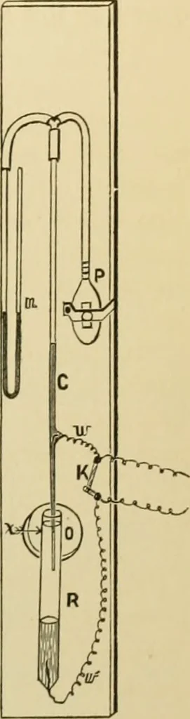 An illustration from A manual of experimental physiology for students of medicine / By Winfield S. Hall ... With 89 illustrations and a colored plate., 1904, leaf 67