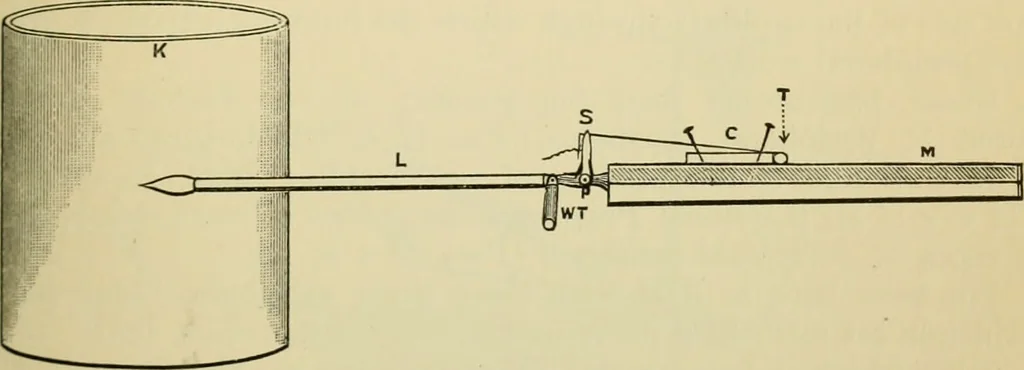 An illustration from A manual of experimental physiology for students of medicine / By Winfield S. Hall ... With 89 illustrations and a colored plate., 1904, leaf 85