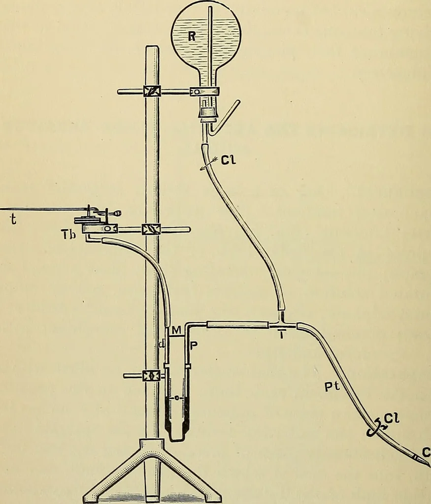 An illustration from A manual of experimental physiology for students of medicine / By Winfield S. Hall ... With 89 illustrations and a colored plate., 1904, leaf 92