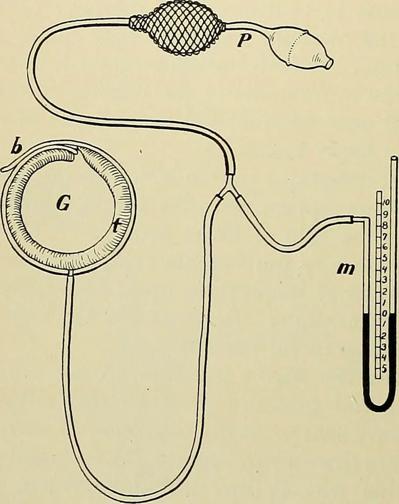An illustration from A manual of experimental physiology for students of medicine / By Winfield S. Hall ... With 89 illustrations and a colored plate., 1904, leaf 94